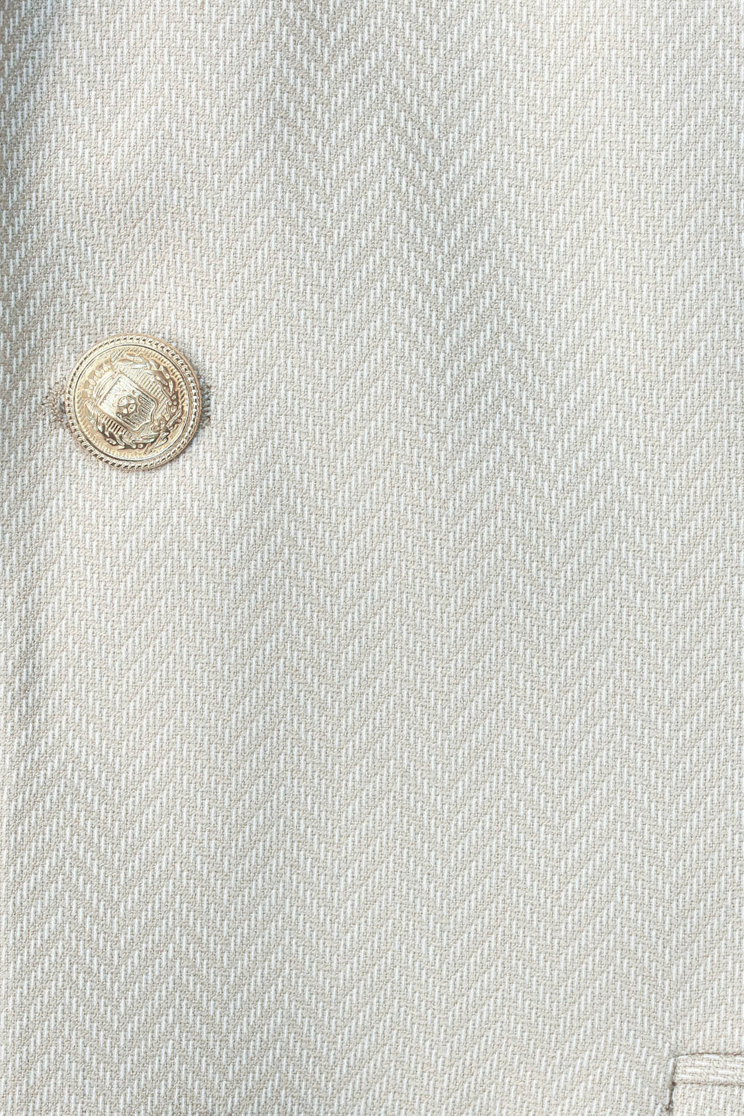 Bej Balıksırtı Desenli Gold Renk Metal Düğmeli Slim Fit Erkek Blazer Ceket - Wessi