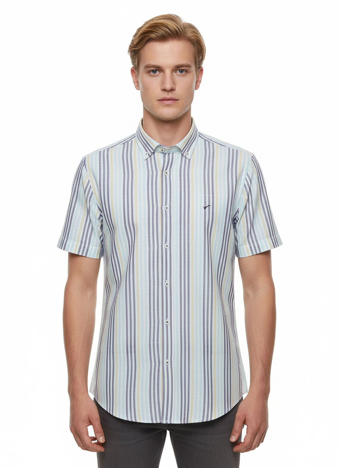 Çizgili Kısa Kollu Mavi Erkek Gömlek - Wessi