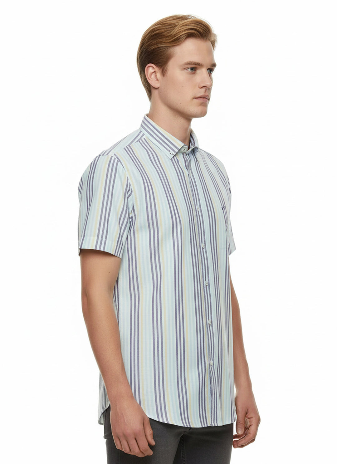 Çizgili Kısa Kollu Mavi Erkek Gömlek - Wessi