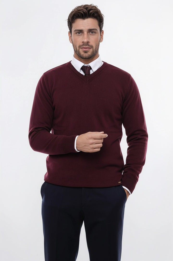 V Yaka Bordo Erkek Triko - Wessi